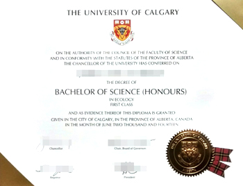 I need a fake diploma from the University of Calgary to get the right job