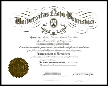 The 6 fastest ways to buy a fake Certificate from The University of New Brunswick
