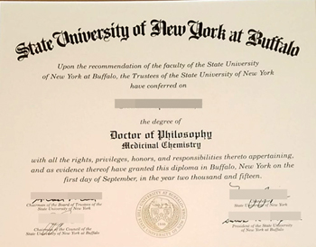 How long will it take me to get my fake degree from SUNY Buffalo