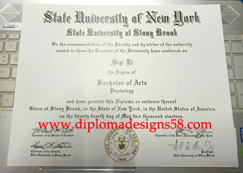 Buy the latest version of a fake diploma from the State University of New York
