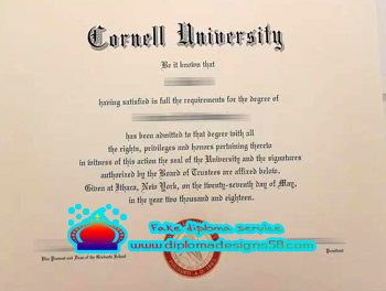 Buy a good Cornell University fake degree.