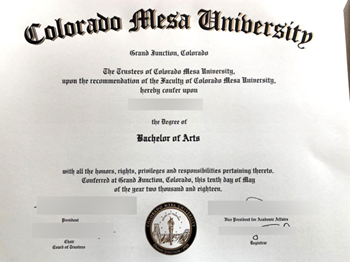 What should I prepare before buying a fake degree from Colorado Mesa University?
