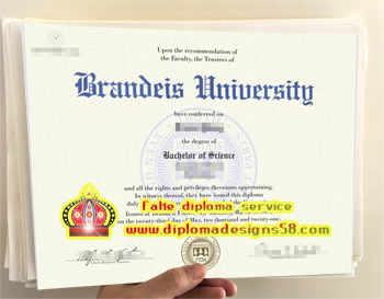 How to buy a fake degree from Brandeis University online.